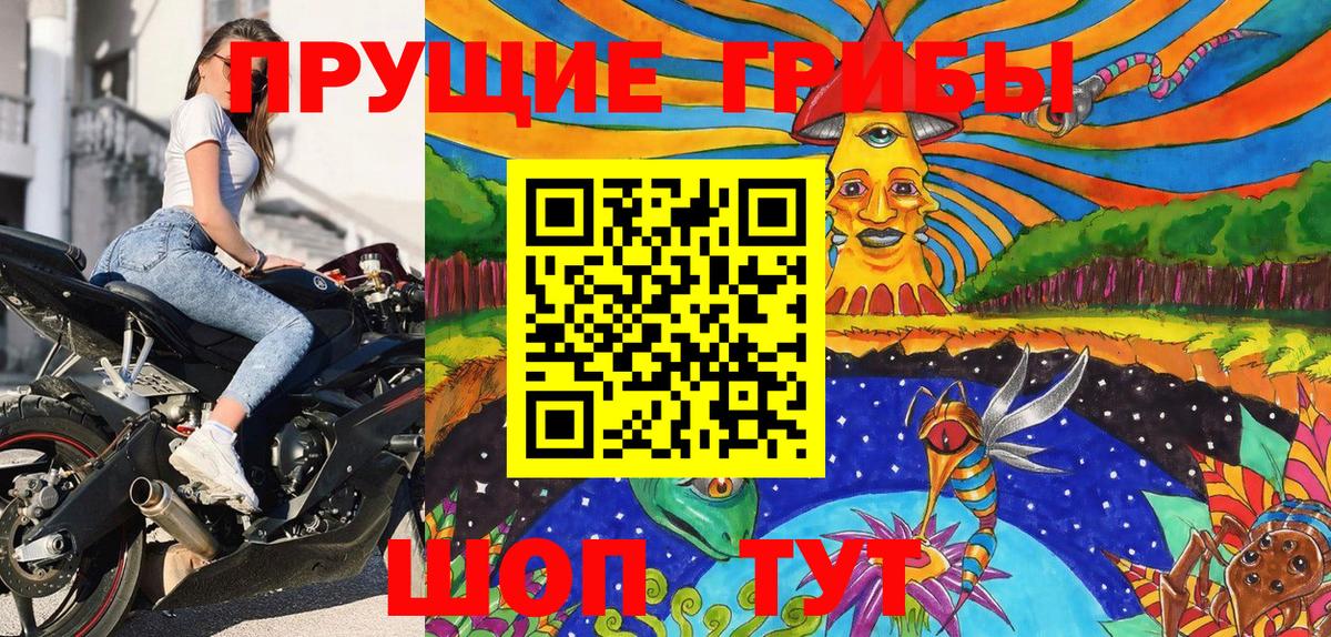 Усть-Джегута  Галлюциногенные грибы ЛСД  Псилоцибиновые грибы ЛСД  Вход с VPN 
