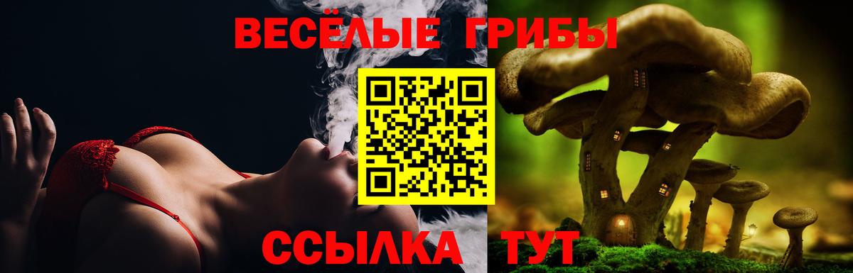 Галлюциногенные грибы мицелий Усть-Джегута